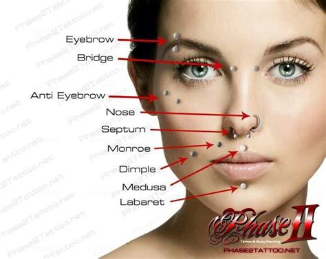 Maybe you would like to learn more about one of these? Ornamental dress Piercing chart 2 | Face piercings ...