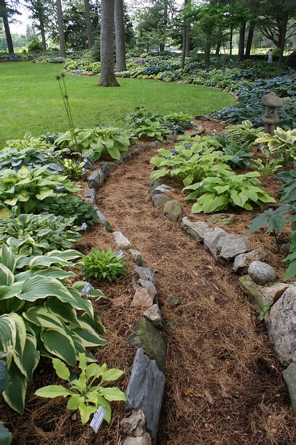 Metal edging, unlike timber, can be manipulated into the desired shape making it perfect for creating sleek curves. Hosta garden curved stone edging (1) | Flickr - Photo Sharing!
