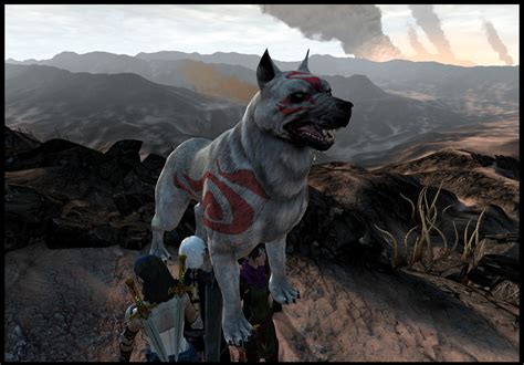 Kerberos is a computer network authentication protocol. Kerberos - the dog that levitates at Dragon Age - mods and ...