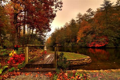 Hd Forest River Autumn Bridge Free Background Wallpaper Download Free