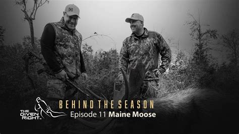 Moose Hunting In Maine Youtube
