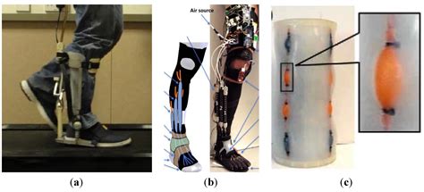 Robotics Free Full Text Recent Trends In Lower Limb Robotic