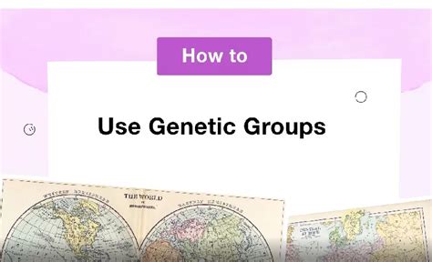 How To Use Genetic Groups Myheritage Knowledge Base