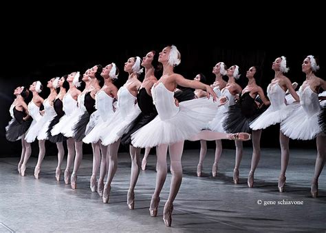 Mariinsky Theaters Corps Ballet Saint Petersburg Russia Ballet Dance