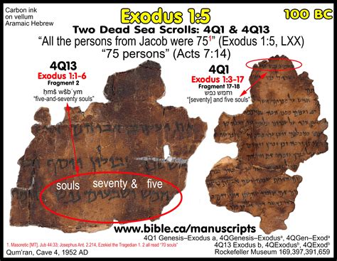 The Number Of The Exodus Jews The Population Of The Exodus Hebrews