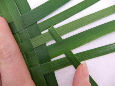 Tutorials Weaving A T Box With A Lid From Palm Leaves