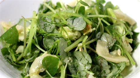 Pansit Pansitan Salad Can Cure Arthritis And Gout Youtube