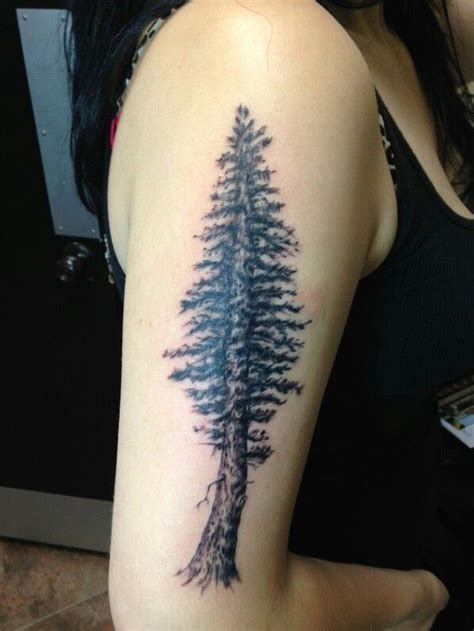 Tree Tattoo By Duckie Anchor Bay Tattoo Hayward Ca Tree Tattoo Leaf