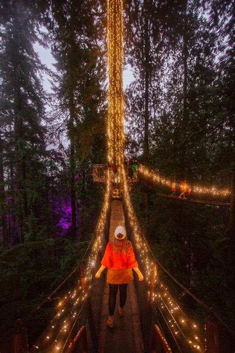 vancouver s capilano suspension bridge christmas lights was my favorite thing to do in british
