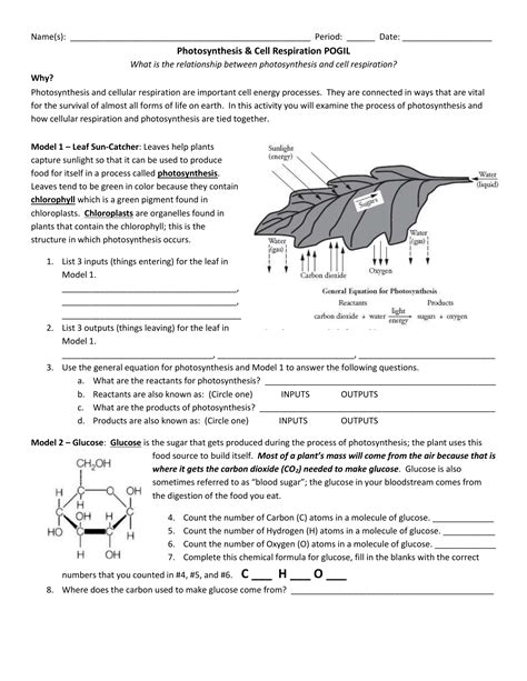Https://techalive.net/worksheet/photosynthesis What S In A Leaf Worksheet Answer Key