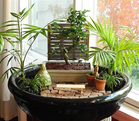 Maybe you would like to learn more about one of these? Best Plants for Miniature Gardens | Resource Guide ...