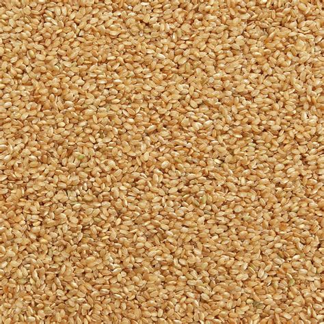 Rice Short Grain Brown Om Foods Organic Matters