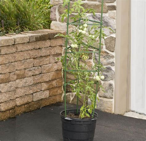 Cheap plant cages & supports, buy quality home & garden directly from china suppliers:hot! Gardener's Blue Ribbon 5 ft. Ultomato Garden Stakes (3 ...
