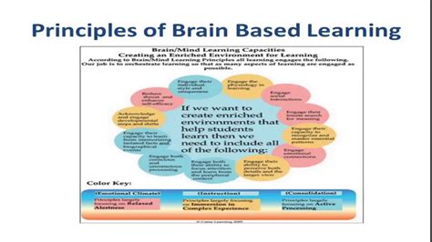 Brain Based Learning Youtube
