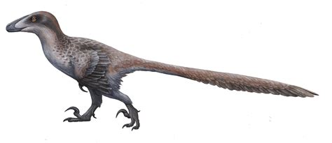 Faceți Cunoștință Cu Deinonychus Real Steaua Jurassic World