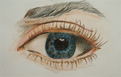 Watercolor Pencil Drawings At Explore Collection