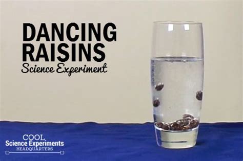 Dancing Raisins Science Experiment Dancing Raisins Science Experiments For Preschoolers