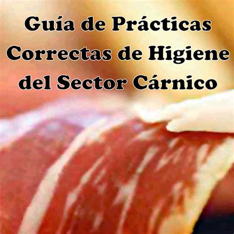 Gu A De Pr Cticas Correctas De Higiene Del Sector C Rnico Icoval Org