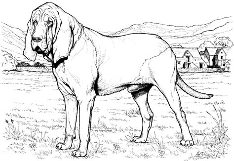 Dog Coloring Pages K5 Worksheets Dog Coloring Page Coloring Pages