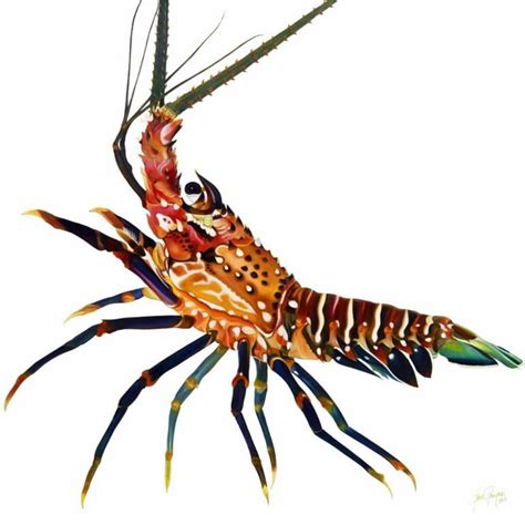 Florida Spiny Lobster Painting Lobster Art Sea Creatures Art Fish
