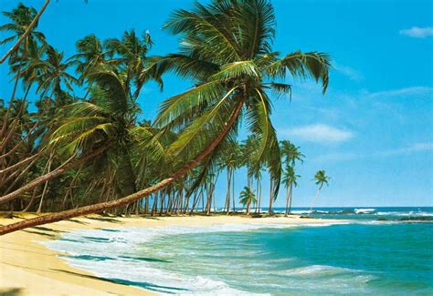 Tropical Beach Wallpapers By Cool Images786