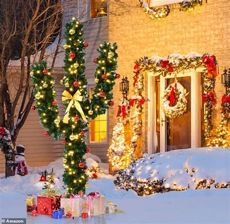 Soak the plant through to the roots, but dump out the. All we want for Christmas is a CACTUS! now cactus sales ...