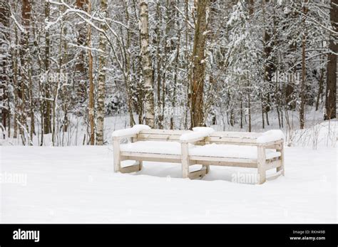 Snowy Bench In A Forest At Winter Stock Photo Alamy
