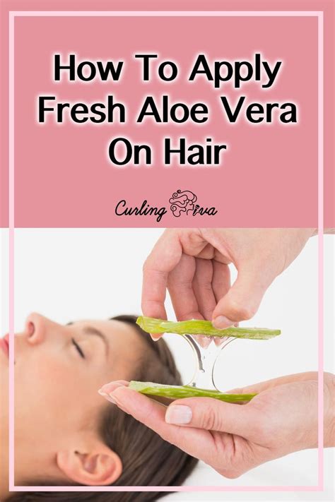 How To Apply Fresh Aloe Vera On Hair Aloe Vera For Hair Fresh Aloe