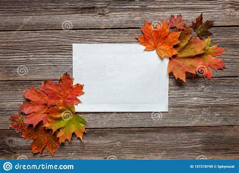 Autumn Floral Pattern With Colorful Autumn Leaves On