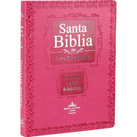 Biblia Textual Btx Iv Edición Caja De 12 Biblias Preventa Bwnetwork