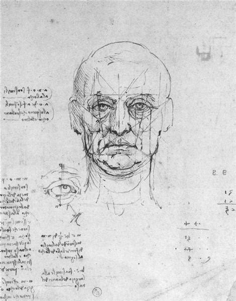 Study On The Proportions Of Head And Eyes C1500 Leonardo Da Vinci