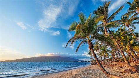 Hawaje Wyspa Maui Morze Palmy Wzgórza Beach Outdoor Water