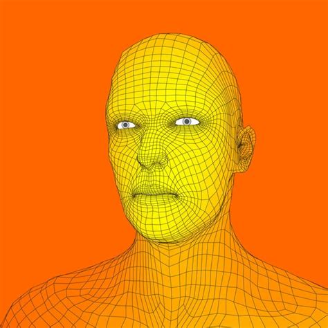 Head Of The Person From A 3d Grid Human Head Wire Model Human Polygon