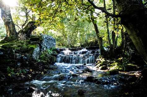 Ten Things To Do In The Dee Valley Gogledd Ddwyrain Cymru North