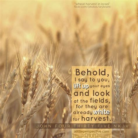 Behold I Say To You Lift Up Your Eyes And Look At The Fields For