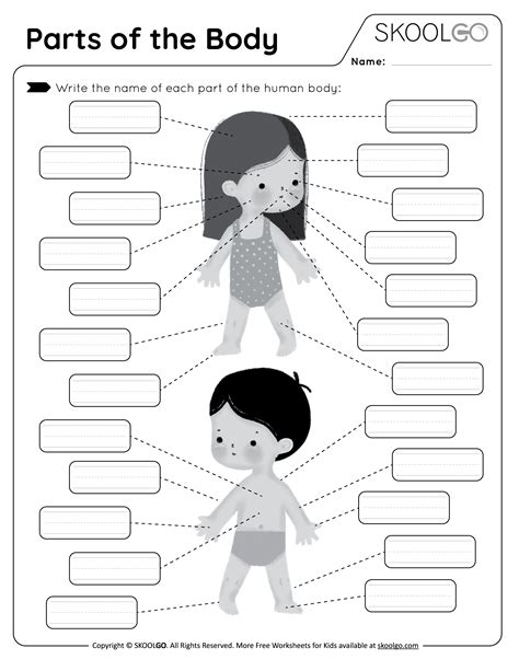 Body Worksheets Body Parts Worksheets For Kids Printable Bo