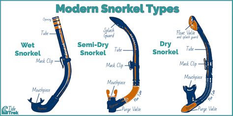 How Do Snorkels Work Wet Semi Dry And Dry Snorkels Tide Trek