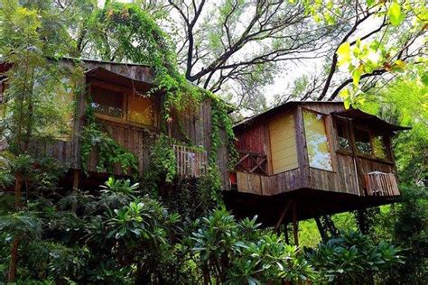 Tree House Resort Jaipur Location Images Contact Address Price Review