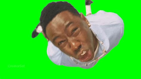 Meme Template Tyler The Creator Falling From The Sky Green Screen
