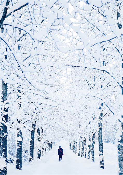 19 Breathtaking Photos Of Winter Wonderlands Around The World