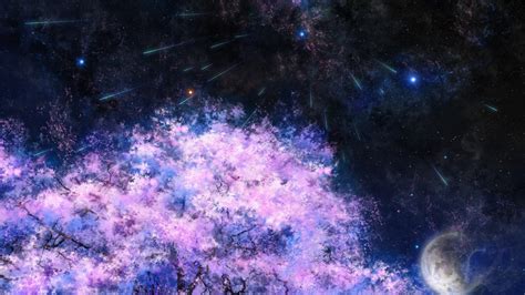Sakura Tree Background Anime Night Black Hair Cherry Blossoms Grass