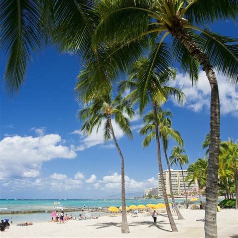 Waikiki Travel Lonely Planet Hawaii Usa North America