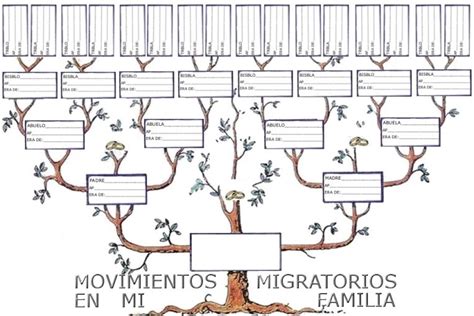 Multidisciplinar Complemento De La Clase En Dibujo De Arbol Genealogico Plantillas De