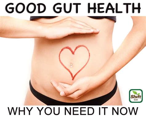 Good Gut Health Why You Need It Now Shiftconmedia