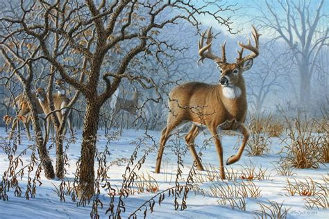 Winter Sunrise Whitetail Deer Artwork Deer Painting Hunting Art