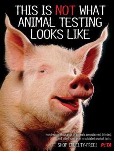 Animal testing is wrong on Pinterest | Animal Testing, Cruelty Free and