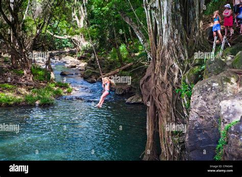 Kauai Hawaii Usa Kipu Falls A Gigantic Rope Swing Allows For Stock