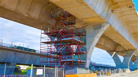 Bridges With Limb Inspired Architecture Can Withstand Earthquakes Cut