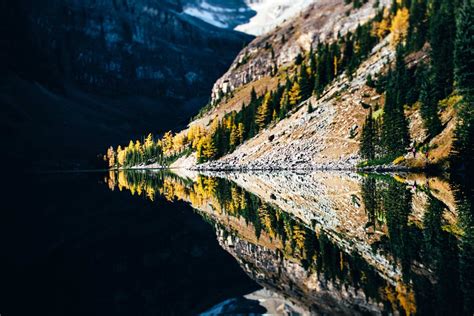 Larch Hikes In Alberta 15 Stunning Trails To Do This Fall 10adventures