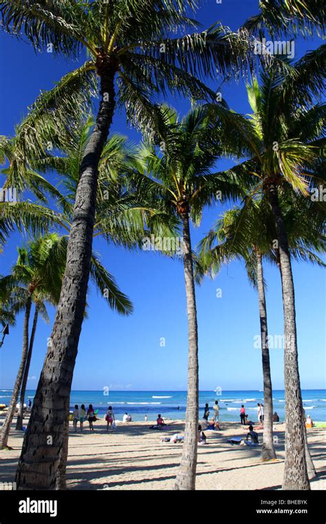 Stock Image Of Waikiki Beach Honolulu Oahu Hawaii Stock Photo Alamy